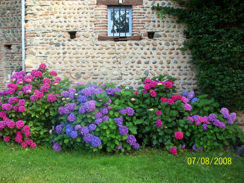La Maison D'Anais Vic-en-Bigorre Buitenkant foto